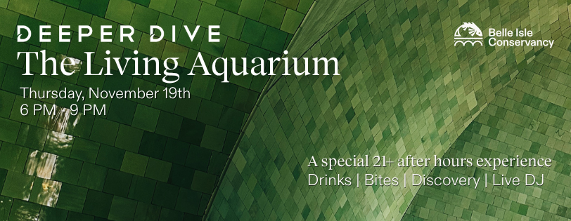 Deeper Dive: The Living Aquarium
